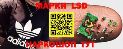стаф Кулебаки