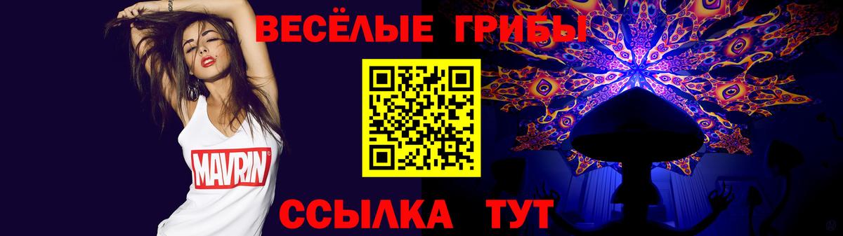 Вязники  хочу наркоту  Вход с VPN  Галлюциногенные грибы прущие грибы 